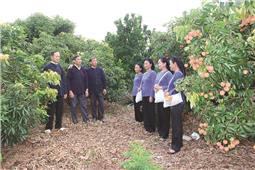 Độc đáo lối hát dân ca của người Sán Chí